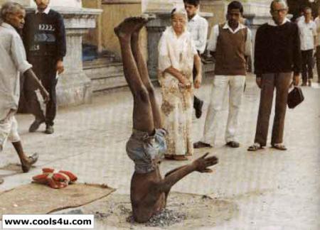 3azi mefereke 7achi raso men ta7ete le arde